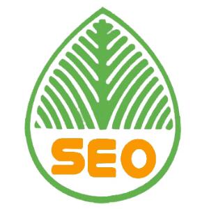 揭阳提升网站移动适配的注意事项